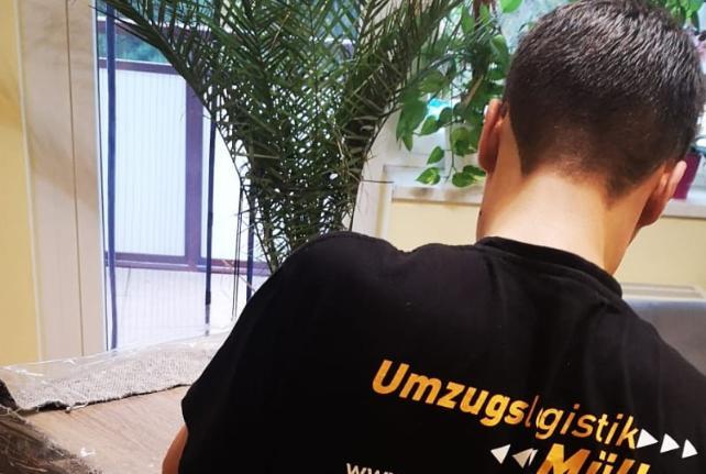 Laborumzug Elstra stressfrei umziehen 